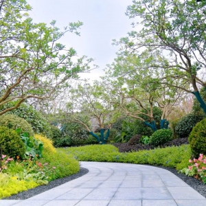 別墅庭院設(shè)計(jì)的后期如何養(yǎng)護(hù)对牛弹琴？